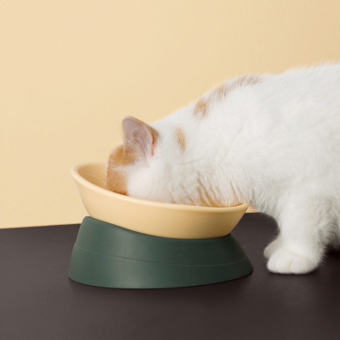 Skid Resistant Cat Bowl 4