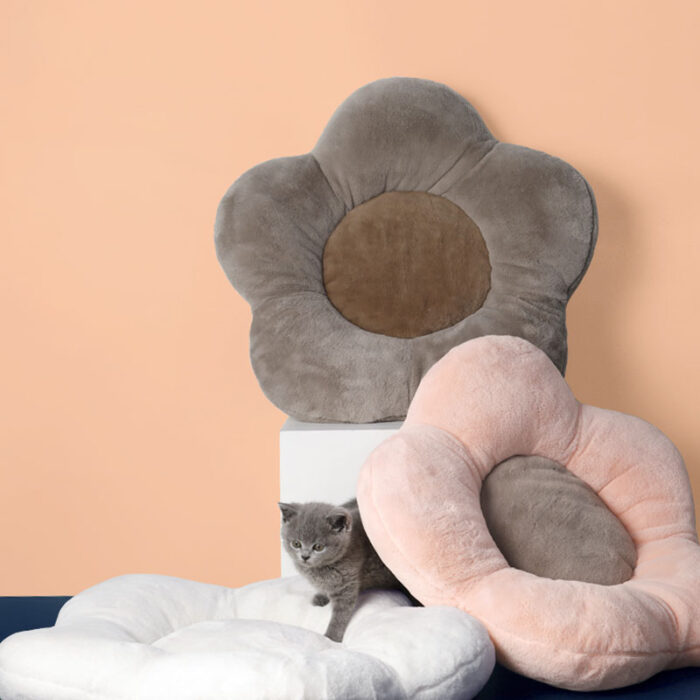 Cat Flower Bed 1