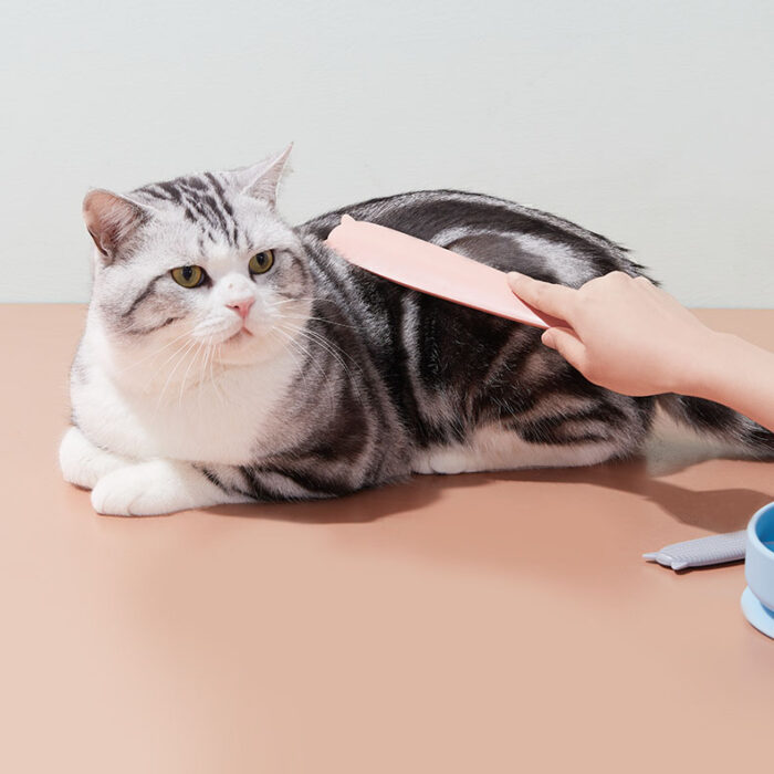 Cat Shaped Massager 3