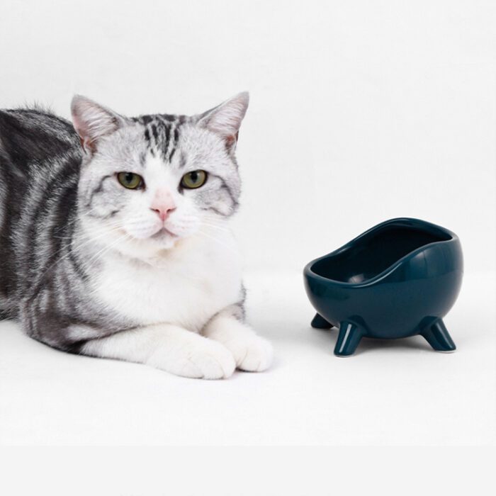 Ceramic Elevated Cat Bowl 4