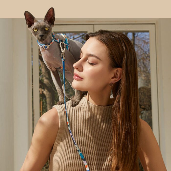 Cotton Cat Harness & Leash 6