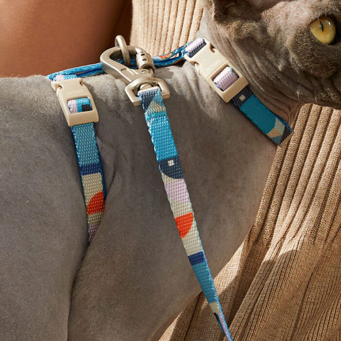 Cotton Cat Harness & Leash 8