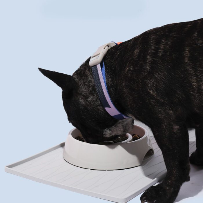 Silicone Cat Food Mat 5