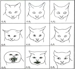 cat-face-2