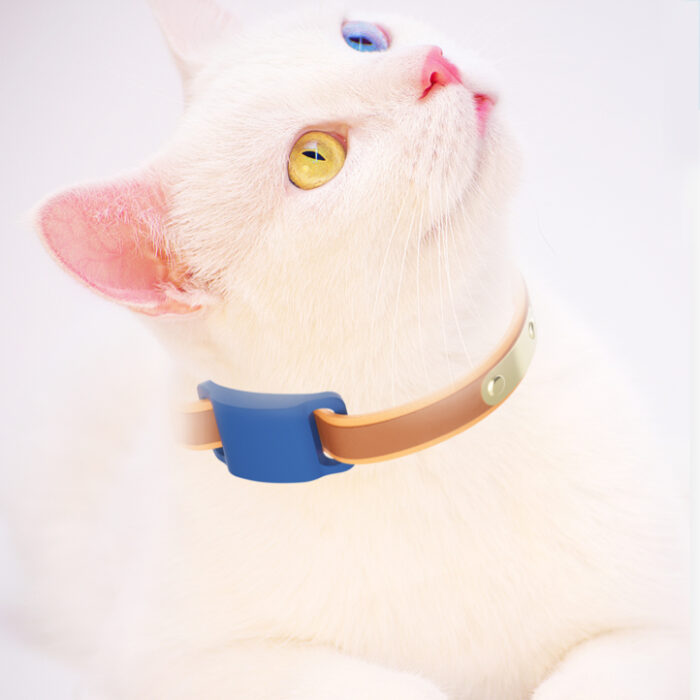 Apple Airtag Collar 1