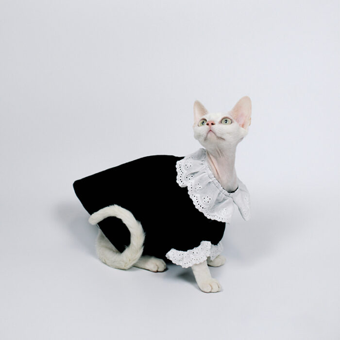 Cat Black Dress 4