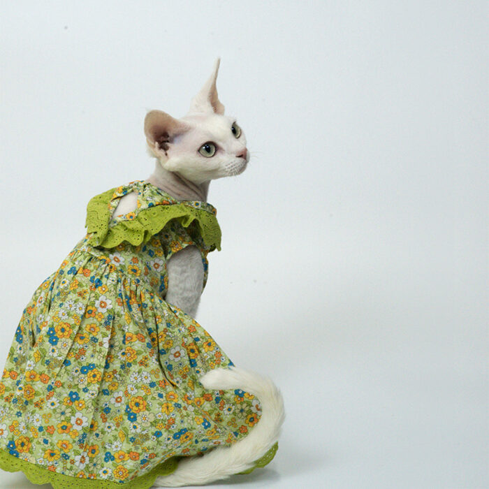 Cat Floral Dress 2