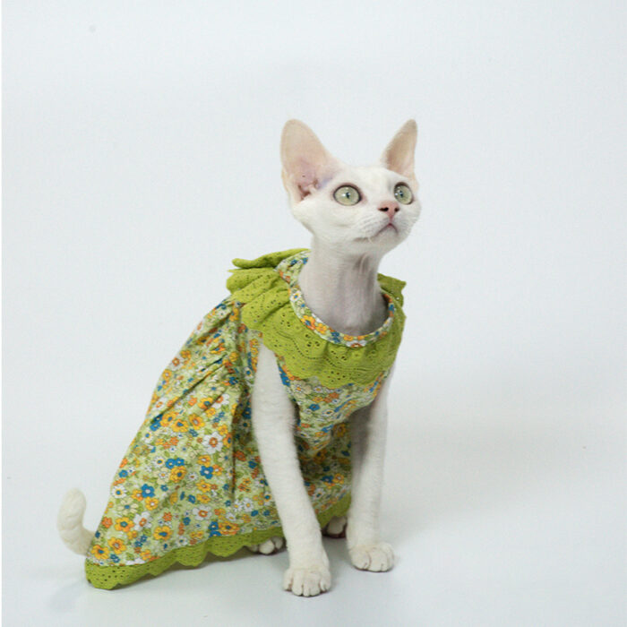 Cat Floral Dress 4
