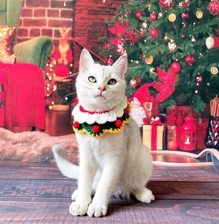 Cat Christmas Collar 10