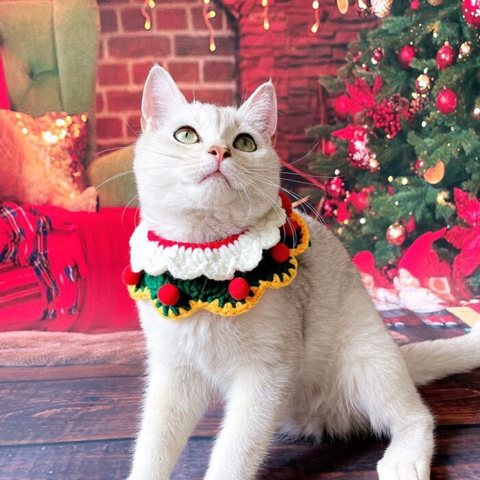 Cat Christmas Collar 11