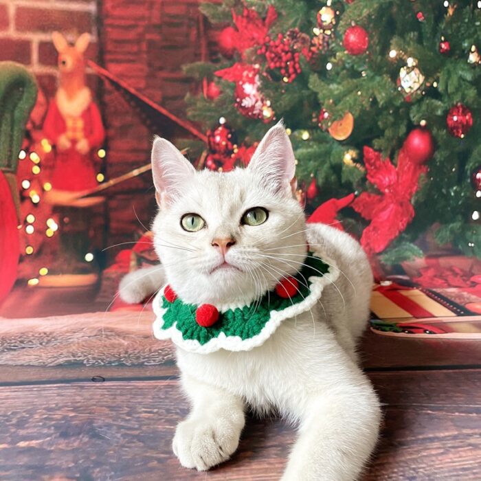 Cat Christmas Collar 2