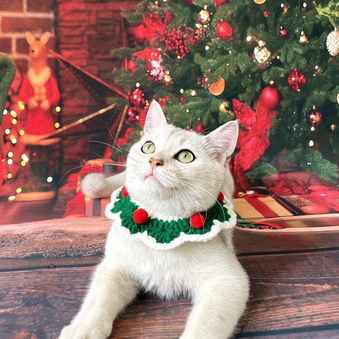 Cat Christmas Collar 3