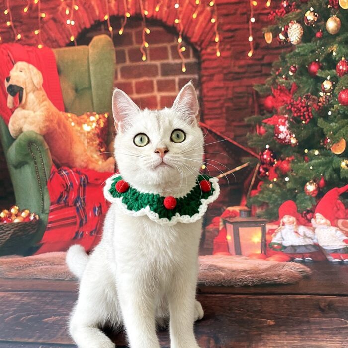 Cat Christmas Collar 4