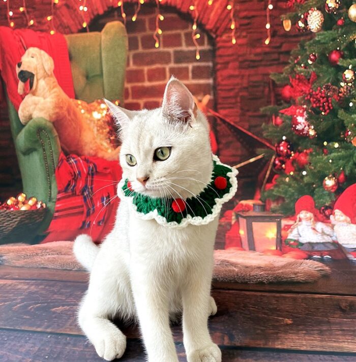 Cat Christmas Collar 5