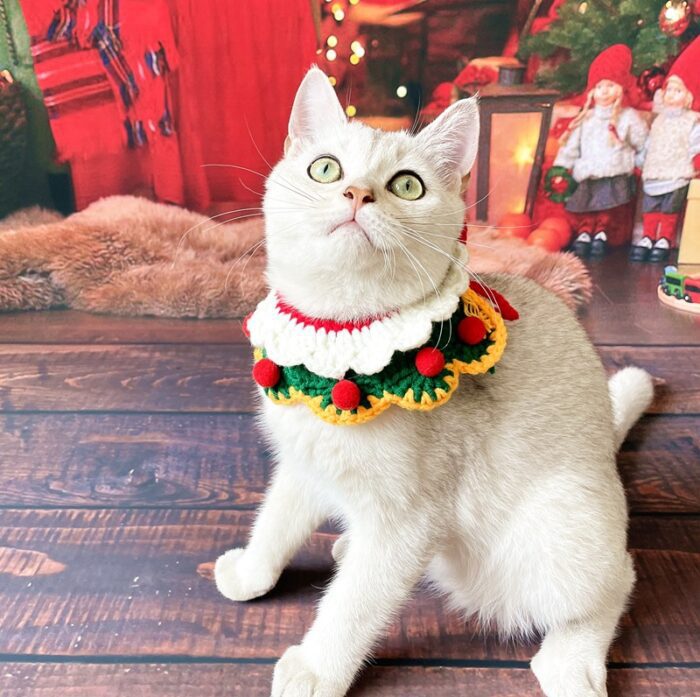 Cat Christmas Collar 9