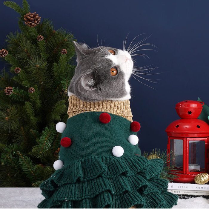 Cat Dress Christmas 4