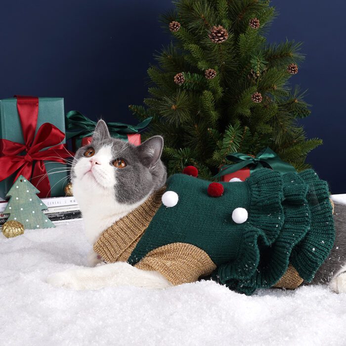 Cat Dress Christmas 5