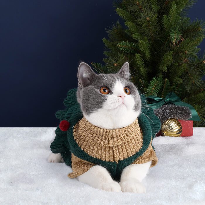 Cat Dress Christmas 7