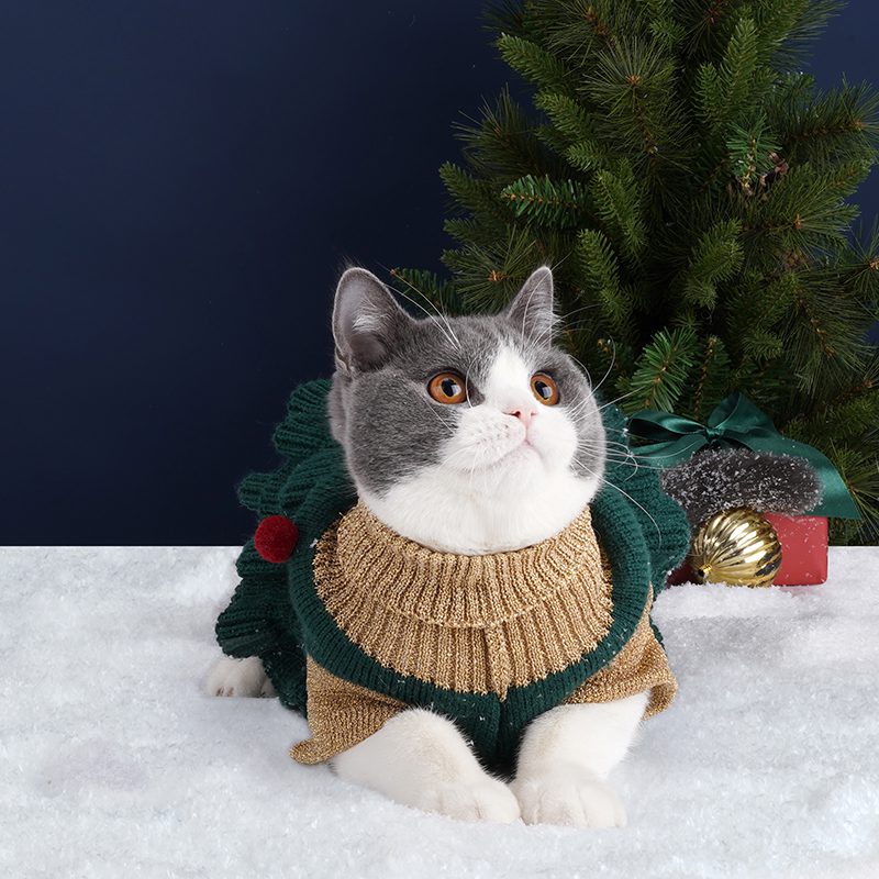 Christmas on sale cat costume