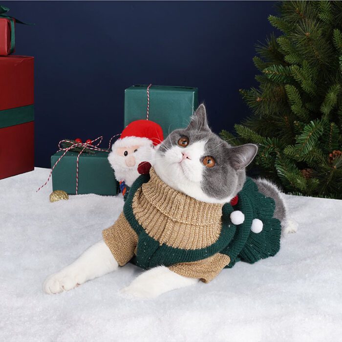 Cat Dress Christmas