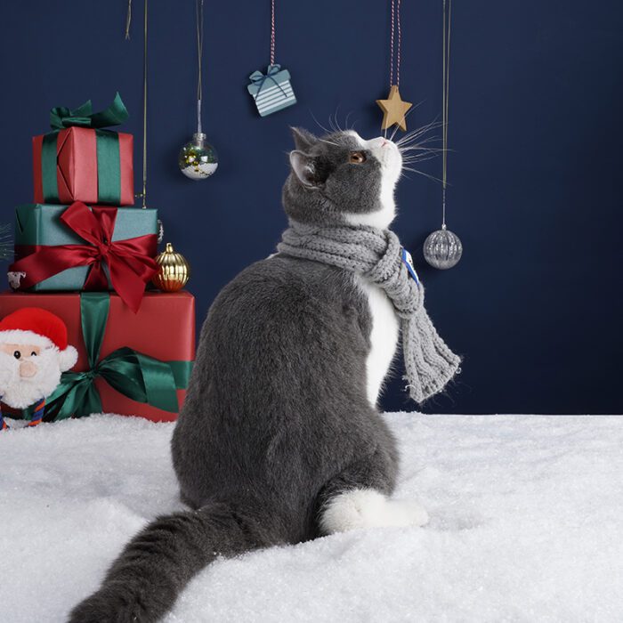 Christmas Cat Scarf 9