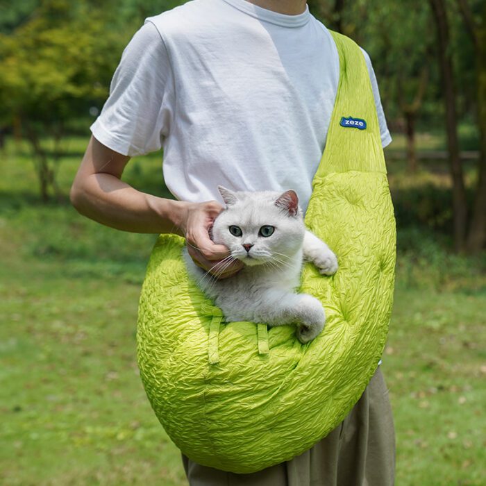 Cat Bag 3