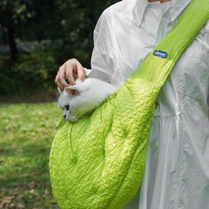 Cat Bag 9