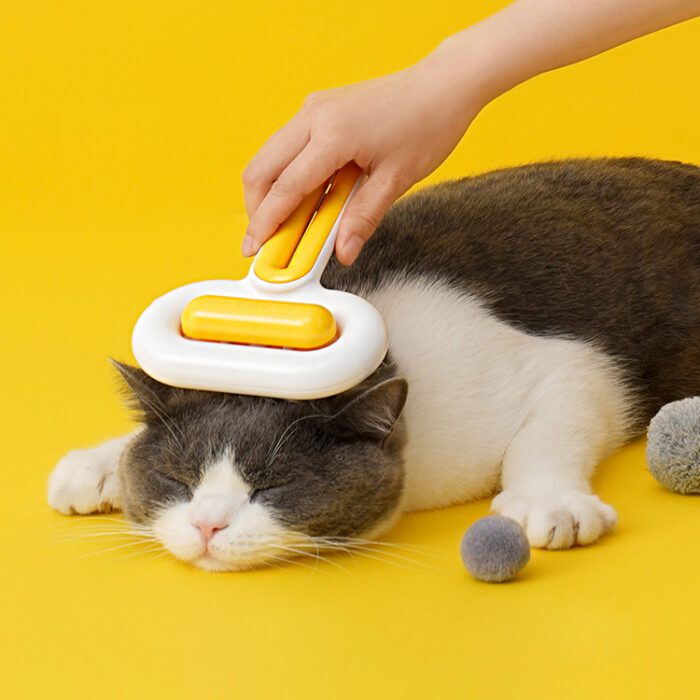 Cat Brush