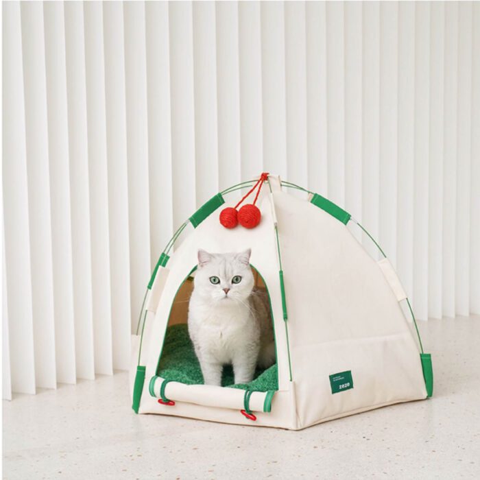 Cat Tent 10