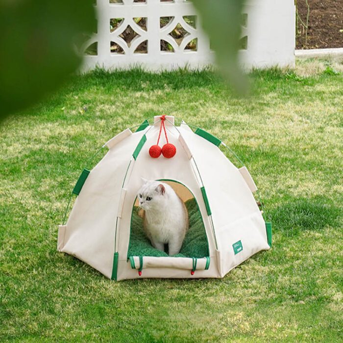 Cat Tent 3