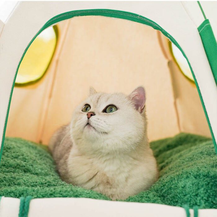 Cat Tent 5