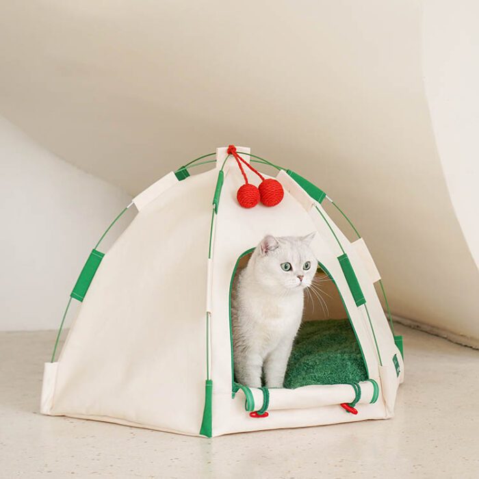 Cat Tent 6