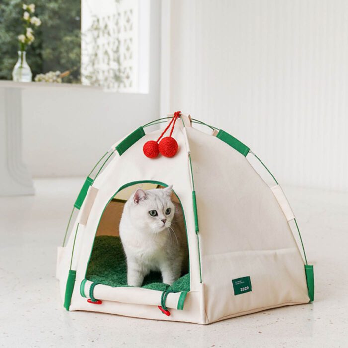 Cat Tent 7