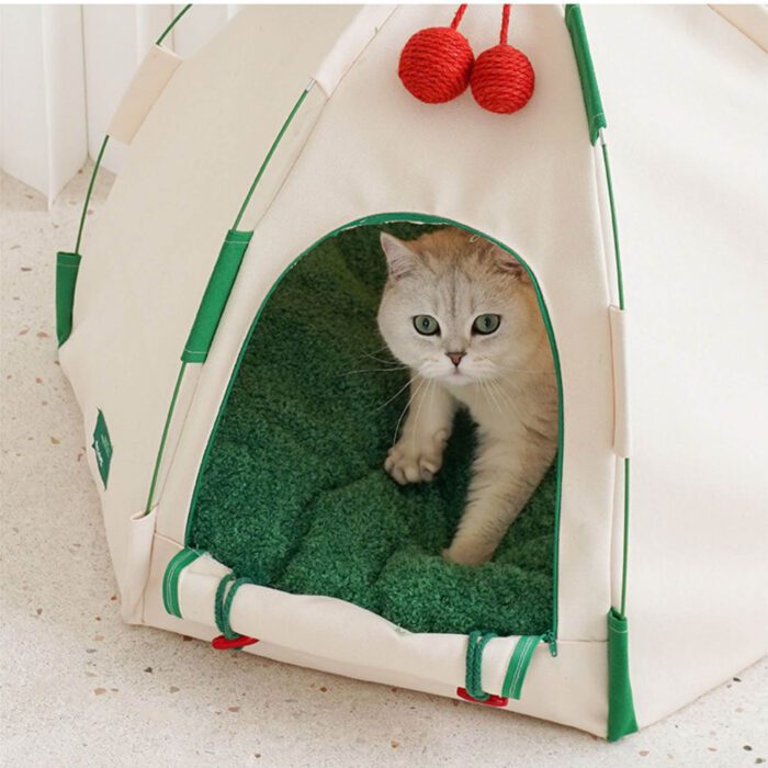 Cat Tent 9