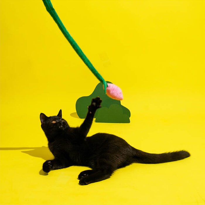 Cat Toy 10