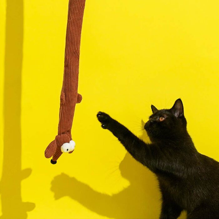 Cat Toy 11