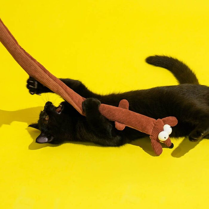 Cat Toy 2